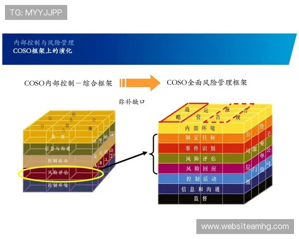 皇冠控股集团有限公司:财务管理优化与风险控制体系的建立与完善 皇冠控股集团有限公司:财务管理优化与风险控制体系的建立与完善