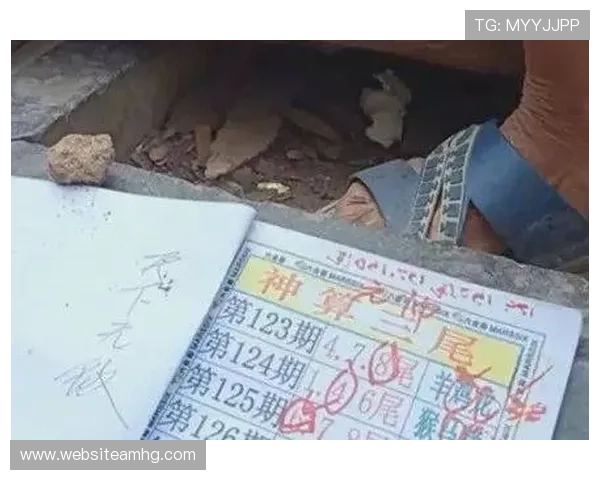 深入了解六合彩经网的专业分析工具，提升你的选号策略和中奖几率